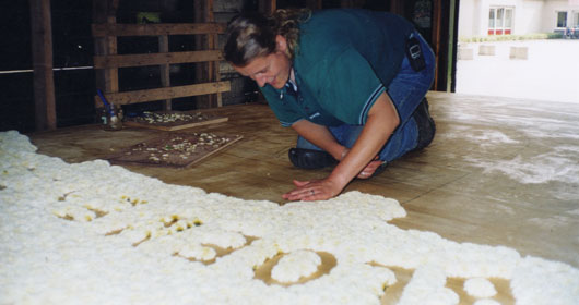 Esther Klein Gotink aan het werk voor het bloemencorso Leersum